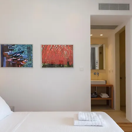 Meraviglia Elia Mykonos Βίλα